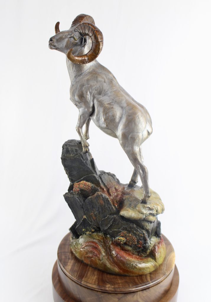Wild Sheep