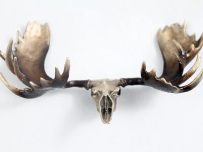 moose antler in bronze