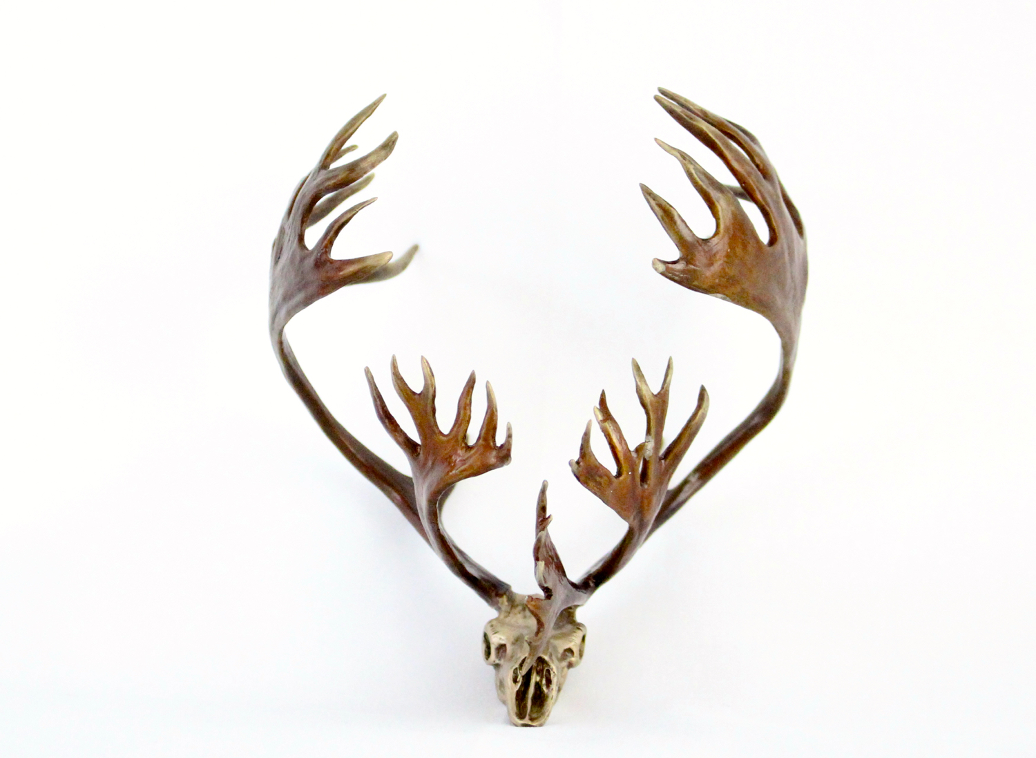 Caribou Antler, Caribou Bronze