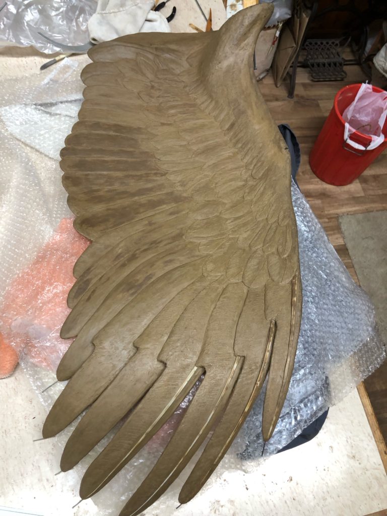 Eagle wing